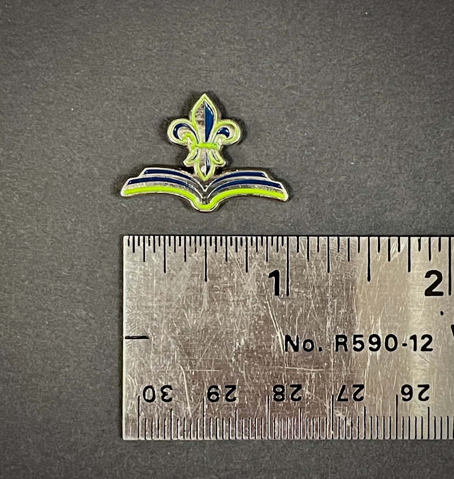 Book De Lis Lapel Pin